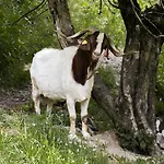 Farm Loger בית חווה