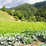Farm Loger Ljubno