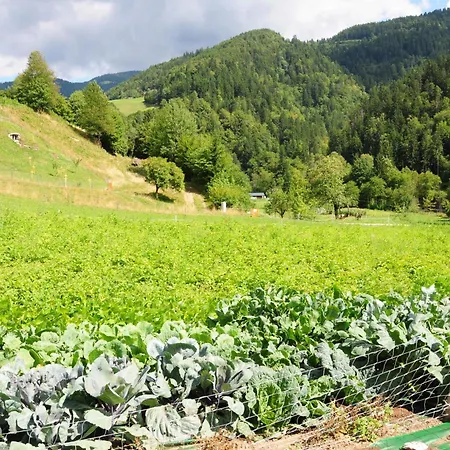 Farm Loger Ljubno