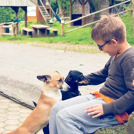 Feriegård Farm Loger *