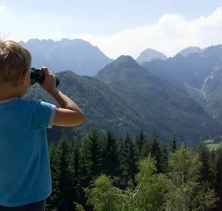 Vakantieboerderij Farm Loger Ljubno