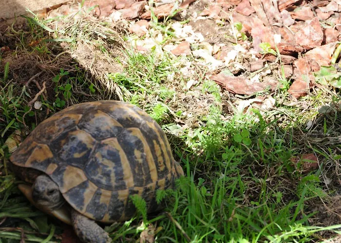 Farm Loger مزرعة للإقامة *